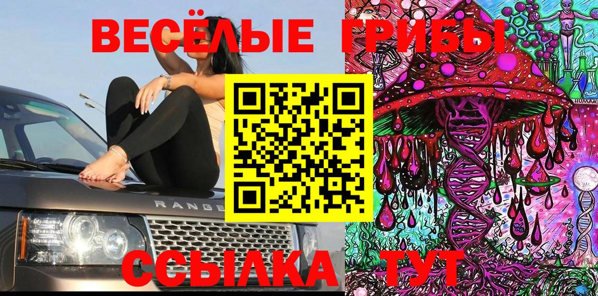 Псилоцибиновые грибы MAGIC MUSHROOMS  Вход с VPN  Анжеро-Судженск 